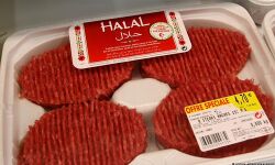 കര്‍ണാടകയില്‍ ഹലാല്‍ മാംസത്തിനെതിരേ ഹിന്ദുത്വര്‍; ജാഗ്രതാ നിര്‍ദേശവുമായി സര്‍ക്കാര്‍, ഏഴ് പേരെ അറസ്റ്റ് ചെയ്തു