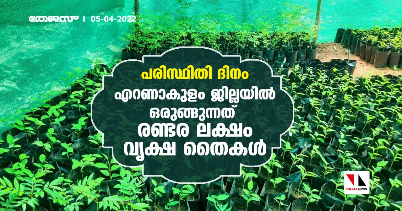 പരിസ്ഥിതി ദിനം:എറണാകുളം ജില്ലയില് ഒരുങ്ങുന്നത് രണ്ടര ലക്ഷം വൃക്ഷ തൈകള് പരിസ്ഥിതി ദിനം:എറണാകുളം ജില്ലയില് ഒരുങ്ങുന്നത് രണ്ടര ലക്ഷം വൃക്ഷ തൈകള്