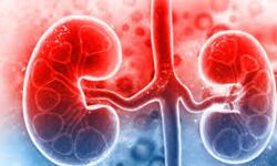 വൃക്കരോഗികള്‍ക്കുള്ള സഹായധനം സര്‍ക്കാര്‍ തിരിച്ചുപിടിച്ചു; ധനസഹായവിതരണത്തിനുള്ള നിബന്ധനകള്‍ ലഘൂകരിക്കണമെന്ന് ആവശ്യം