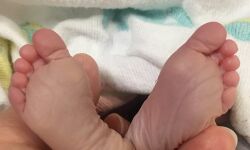 രക്തസ്രാവം മൂലം ഇരട്ടക്കുട്ടികള്‍ ഗര്‍ഭത്തില്‍ മരിച്ചു; കടയ്ക്കല്‍ താലൂക്ക് ആശുപത്രിയിലെ ഗൈനക്കോളജി ഡോക്ടര്‍ക്കെതിരേ പരാതി