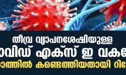 തീവ്ര വ്യാപനശേഷിയുള്ള കൊവിഡ് എക്‌സ് ഇ വകഭേദം ഗുജറാത്തില്‍ കണ്ടെത്തിയതായി റിപോര്‍ട്ട്