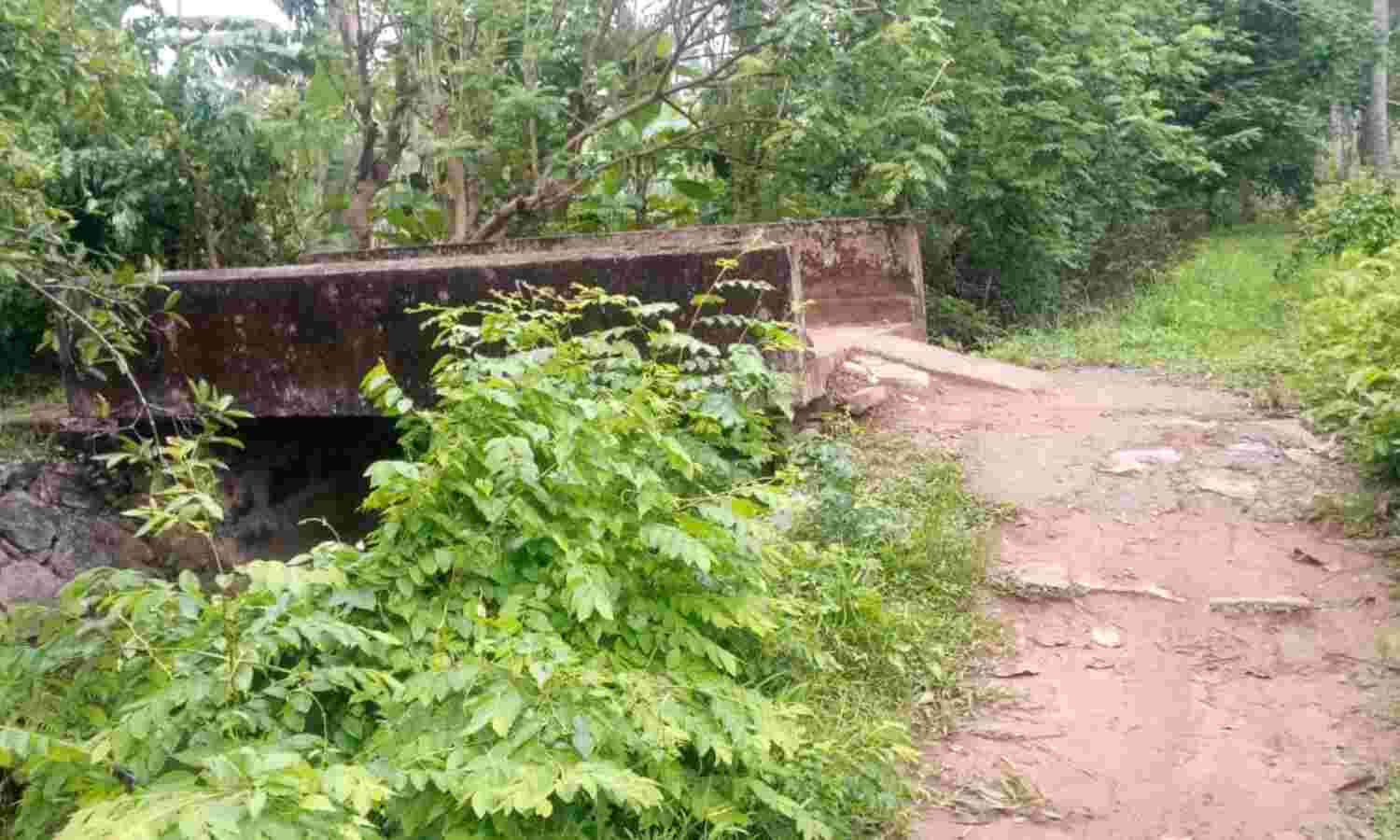 ഏലാത്തോടിന് കുറുകെ സഞ്ചാരയോഗ്യമായ പാലം നിർമിക്കണമെന്ന് നാട്ടുകാർ
