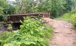 ഏലാത്തോടിന് കുറുകെ സഞ്ചാരയോഗ്യമായ പാലം നിർമിക്കണമെന്ന് നാട്ടുകാർ