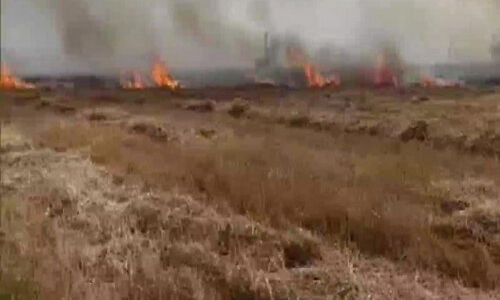 ഹരിയാനയില് 200 ഏക്കര് കൃഷിഭൂമി കത്തിനശിച്ചു ഹരിയാനയില് 200 ഏക്കര് കൃഷിഭൂമി കത്തിനശിച്ചു