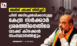 അമിത് ഷാക്ക് തിരിച്ചടി: ഹിന്ദി അടിച്ചേല്‍പ്പിക്കാനുള്ള കേന്ദ്ര സര്‍ക്കാര്‍ ശ്രമത്തിനെതിരേ വടക്ക് കിഴക്കന്‍ സംസ്ഥാനങ്ങളും