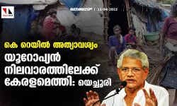 കെ റെയില്‍ അത്യാവശ്യം; യൂറോപ്യൻ നിലവാരത്തിലേക്ക് കേരളമെത്തി: യെച്ചൂരി