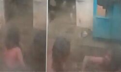 കൊല്ലം തെക്കുംഭാഗത്ത് വൃദ്ധ മാതാവിന് മകന്റെ ക്രൂര മര്‍ദ്ദനം; മകനെതിരേ വധശ്രമത്തിന് കേസ്