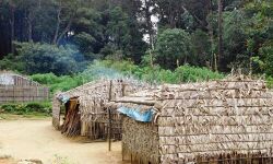 ദുര്ഘട പ്രദേശങ്ങളില് ജോലി ചെയ്യാന് തയ്യാറായവരില്നിന്ന് പ്രത്യേക നിയമനം നടത്തണം ദുര്ഘട പ്രദേശങ്ങളില് ജോലി ചെയ്യാന് തയ്യാറായവരില്നിന്ന് പ്രത്യേക നിയമനം നടത്തണം