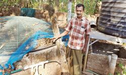 പൂപ്പത്തി ഏരിമ്മലില് അനില്കുമാര് വരള്ച്ചയെ നേരിടുന്നത് ഇങ്ങനെ പൂപ്പത്തി ഏരിമ്മലില് അനില്കുമാര് വരള്ച്ചയെ നേരിടുന്നത് ഇങ്ങനെ