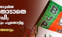ഉപതിരഞ്ഞെടുപ്പില്‍ നിലംതൊടാതെ ബിജെപി; അഞ്ചിടത്തും പച്ചതൊട്ടില്ല, ബംഗാളില്‍ തൃണമൂല്‍ തേരോട്ടം