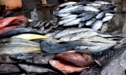 เดฎเตเดจเดฟเดฒเต เดฎเดพเดฏเด: เดญเดเตเดทเตเดฏเดธเตเดฐเดเตเดทเดพ เดชเดฐเดฟเดถเตเดงเดจ เดถเดเตเดคเดฎเดพเดเตเดเดพเดจเตโ เดจเดฟเดฐเตโเดฆเตเดถเด เดฎเตเดจเดฟเดฒเต เดฎเดพเดฏเด: เดญเดเตเดทเตเดฏเดธเตเดฐเดเตเดทเดพ เดชเดฐเดฟเดถเตเดงเดจ เดถเดเตเดคเดฎเดพเดเตเดเดพเดจเตโ เดจเดฟเดฐเตโเดฆเตเดถเด