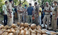 เดเดพเดเตเดเดฐเตโ เดฒเตเดฑเดฟเดฏเดฟเดฒเตโ เดเดเดคเตเดคเดฟเดเตเดเตเดฃเตเดเตเดตเดจเตเดจ 250 เดเดฟเดฒเต เดเดเตเดเดพเดตเต เดชเดฟเดเดฟเดเตเด เดธเดเดญเดตเด: เด
เดจเตเดตเตเดทเดฃเด เดเดกเตเดทเดฏเดฟเดฒเตเดเตเดเตเด เดตเตเดฏเดพเดชเดฟเดชเตเดชเดฟเดเตเดเตเด เดเดพเดเตเดเดฐเตโ เดฒเตเดฑเดฟเดฏเดฟเดฒเตโ เดเดเดคเตเดคเดฟเดเตเดเตเดฃเตเดเตเดตเดจเตเดจ 250 เดเดฟเดฒเต เดเดเตเดเดพเดตเต เดชเดฟเดเดฟเดเตเด เดธเดเดญเดตเด: เด
เดจเตเดตเตเดทเดฃเด เดเดกเตเดทเดฏเดฟเดฒเตเดเตเดเตเด เดตเตเดฏเดพเดชเดฟเดชเตเดชเดฟเดเตเดเตเด