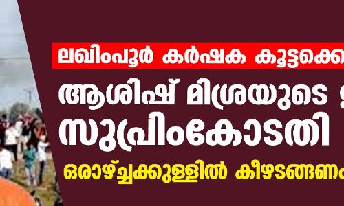 ലഖിംപൂര്‍ കര്‍ഷക കൂട്ടക്കൊല: ആശിഷ് മിശ്രയുടെ ജാമ്യം സുപ്രിംകോടതി റദ്ദാക്കി  -ഒരാഴ്ച്ചക്കുള്ളില്‍ കീഴടങ്ങണം