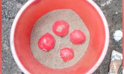 เดเดฃเตเดฃเตเดฐเดฟเดฒเตโ เดเดณเตโเดชเตเดชเดพเดฐเตโเดชเตเดชเดฟเดฒเตเดฒเดพเดคเตเดค เดตเตเดเตเดเดฟเดฒเตโ เดจเดฟเดจเตเดจเต เดฌเตเดเดฌเตเดเดณเตโ เดเดฃเตเดเตเดคเตเดคเดฟ เดเดฃเตเดฃเตเดฐเดฟเดฒเตโ เดเดณเตโเดชเตเดชเดพเดฐเตโเดชเตเดชเดฟเดฒเตเดฒเดพเดคเตเดค เดตเตเดเตเดเดฟเดฒเตโ เดจเดฟเดจเตเดจเต เดฌเตเดเดฌเตเดเดณเตโ เดเดฃเตเดเตเดคเตเดคเดฟ