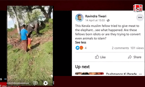 കേരളത്തില് ആന ജിഹാദ്; ഇറച്ചി കൊടുത്ത് ആനയെ മതം മാറ്റുന്നു എന്ന വിചിത്ര നുണയുമായി സംഘികള് കേരളത്തില് ആന ജിഹാദ്; ഇറച്ചി കൊടുത്ത് ആനയെ മതം മാറ്റുന്നു എന്ന വിചിത്ര നുണയുമായി സംഘികള്