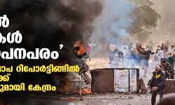 ചാനൽ ചർച്ചകൾ പ്രകോപനപരം; ഡൽഹി കലാപ റിപോർട്ടിങ്ങിൽ മാധ്യമങ്ങൾക്ക് മൂക്കുകയറുമായി കേന്ദ്രം