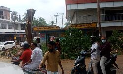 മരം മുറിയുടെ മറവിൽ ബസ് കാത്തിരിപ്പ് കെട്ടിടം തകർത്തു മരം മുറിയുടെ മറവിൽ ബസ് കാത്തിരിപ്പ് കെട്ടിടം തകർത്തു