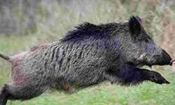 เดเดพเดเตเดเตเดชเดจเตเดจเดฟเดฏเต เดเตเดทเตเดฆเตเดฐ เดเตเดตเดฟเดฏเดพเดฏเดฟ เดชเตเดฐเดเตเดฏเดพเดชเดฟเดเตเดเดพเดคเตเดค เดเตเดจเตเดฆเตเดฐ เดจเดฟเดฒเดชเดพเดเต เดจเดฟเดฐเดพเดถเดพเดเดจเดเดฎเตเดจเตเดจเต เดตเดจเด เดฎเดจเตเดคเตเดฐเดฟ เดเดพเดเตเดเตเดชเดจเตเดจเดฟเดฏเต เดเตเดทเตเดฆเตเดฐ เดเตเดตเดฟเดฏเดพเดฏเดฟ เดชเตเดฐเดเตเดฏเดพเดชเดฟเดเตเดเดพเดคเตเดค เดเตเดจเตเดฆเตเดฐ เดจเดฟเดฒเดชเดพเดเต เดจเดฟเดฐเดพเดถเดพเดเดจเดเดฎเตเดจเตเดจเต เดตเดจเด เดฎเดจเตเดคเตเดฐเดฟ