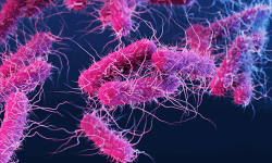 เดเตเดดเดฟเดเตเดเตเดเตเดเต เดตเตเดฃเตเดเตเด เดทเดฟเดเดฒเตเดฒเต เดฐเตเดเด เดธเตเดฅเดฟเดฐเตเดเดฐเดฟเดเตเดเต; เดฐเตเดเดตเตเดฏเดพเดชเดจเดฎเดฟเดฒเตเดฒเตเดจเตเดจเต เดเดฐเตเดเตเดฏเดตเดเตเดชเตเดชเต เดเตเดดเดฟเดเตเดเตเดเตเดเต เดตเตเดฃเตเดเตเด เดทเดฟเดเดฒเตเดฒเต เดฐเตเดเด เดธเตเดฅเดฟเดฐเตเดเดฐเดฟเดเตเดเต; เดฐเตเดเดตเตเดฏเดพเดชเดจเดฎเดฟเดฒเตเดฒเตเดจเตเดจเต เดเดฐเตเดเตเดฏเดตเดเตเดชเตเดชเต