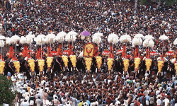 തൃശൂര്‍ പൂരം നടത്തിപ്പിന് സര്‍ക്കാര്‍ 15 ലക്ഷം രൂപ അനുവദിച്ചു