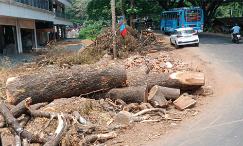 അനുമതിയില്ലാതെ റോഡരികിലെ മരം മുറി; അന്വേഷണം ആവശ്യപ്പെട്ട് എസ്ഡിപിഐ വിജിലന്‍സിന് പരാതി നല്‍കി