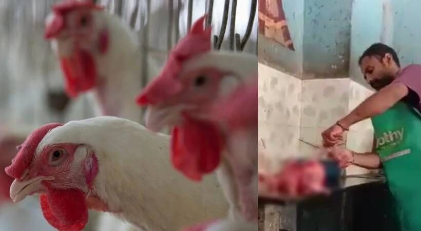 കോഴിയെ ജീവനോടെ തൊലിയുരിച്ച് കഷണങ്ങളാക്കിയ സംഭവം: യുവാവ് അറസ്റ്റില്‍