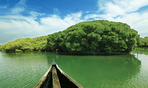 കടലുണ്ടി പക്ഷിസങ്കേത നടപ്പാത പദ്ധതിക്ക് 1.44 കോടിയുടെ ഭരണാനുമതി കടലുണ്ടി പക്ഷിസങ്കേത നടപ്പാത പദ്ധതിക്ക് 1.44 കോടിയുടെ ഭരണാനുമതി