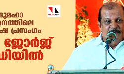 ഹിന്ദുമഹാ സമ്മേളനത്തിലെ മതവിദ്വേഷ പ്രസംഗം: പി സി ജോര്‍ജ് കസ്റ്റഡിയില്‍