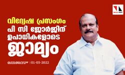 വിദ്വേഷ പ്രസംഗം; പി സി ജോര്‍ജിന് ഉപാധികളോടെ ജാമ്യം