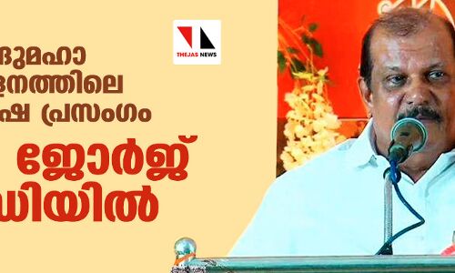 ഹിന്ദുമഹാ സമ്മേളനത്തിലെ മതവിദ്വേഷ പ്രസംഗം: പി സി ജോര്‍ജ് കസ്റ്റഡിയില്‍