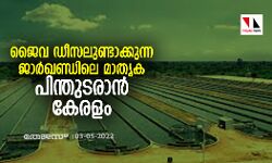 ജൈവ ഡീസലുണ്ടാക്കുന്ന ജാര്ഖണ്ഡിലെ മാതൃക പിന്തുടരാന് കേരളം ജൈവ ഡീസലുണ്ടാക്കുന്ന ജാര്ഖണ്ഡിലെ മാതൃക പിന്തുടരാന് കേരളം