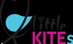 മൂന്ന് ലക്ഷം അമ്മമാര്‍ക്ക് ലിറ്റില്‍ കൈറ്റ്‌സ് വഴി സൈബര്‍ സുരക്ഷാ പരിശീലനം