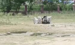 ഹരിയാനയില്‍ നാല് പേരെ സ്‌ഫോടകവസ്തുക്കളുമായി കസ്റ്റഡിയിലെടുത്തു