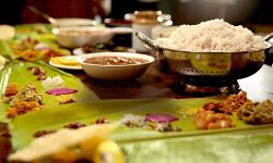 അഞ്ച് ദിവസത്തെ പരിശോധന; 110 ഹോട്ടലുകള് പൂട്ടിച്ചു, 347 സ്ഥാപനങ്ങള്ക്ക് നോട്ടിസ് അഞ്ച് ദിവസത്തെ പരിശോധന; 110 ഹോട്ടലുകള് പൂട്ടിച്ചു, 347 സ്ഥാപനങ്ങള്ക്ക് നോട്ടിസ്