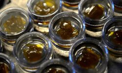 തൃശൂരിൽ ആറ് കിലോ ഹാഷിഷ് ഓയിൽ പിടികൂടി തൃശൂരിൽ ആറ് കിലോ ഹാഷിഷ് ഓയിൽ പിടികൂടി