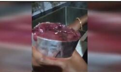 തിരുവനന്തപുരം കല്ലറയില് മീനില് പുഴുവിനെ കണ്ടെത്തി തിരുവനന്തപുരം കല്ലറയില് മീനില് പുഴുവിനെ കണ്ടെത്തി