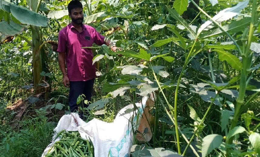 സമ്മിശ്ര കൃഷിയില് നേട്ടം കൊയ്ത് അബ്ദുൽ ഹഖ് സമ്മിശ്ര കൃഷിയില് നേട്ടം കൊയ്ത് അബ്ദുൽ ഹഖ്
