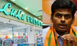 เดคเดฎเดฟเดดเตโเดจเดพเดเตเดเดฟเดฒเตโ เดฒเตเดฒเต เดฎเดพเดณเตโ เดจเดฟเดฐเตโเดฎเดฟเดเตเดเดพเดจเตโ เด
เดจเตเดตเดฆเดฟเดเตเดเดฟเดฒเตเดฒเตเดจเตเดจเต เดฌเดฟเดเตเดชเดฟ เดคเดฎเดฟเดดเตโเดจเดพเดเตเดเดฟเดฒเตโ เดฒเตเดฒเต เดฎเดพเดณเตโ เดจเดฟเดฐเตโเดฎเดฟเดเตเดเดพเดจเตโ เด
เดจเตเดตเดฆเดฟเดเตเดเดฟเดฒเตเดฒเตเดจเตเดจเต เดฌเดฟเดเตเดชเดฟ