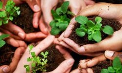 เดธเดเดธเตเดฅเดพเดจ เดชเดฐเดฟเดธเตเดฅเดฟเดคเดฟ เดฎเดฟเดคเตเดฐเด เดชเตเดฐเดธเตโเดเดพเดฐเด: เดฎเดพเดงเตเดฏเดฎเดชเตเดฐเดตเดฐเตโเดคเตเดคเดเดฐเตโเดเตเดเตเด เดเดตเตเดทเดเดฐเตโเดเตเดเตเด เดธเตเดฅเดพเดชเดจเดเตเดเดณเตโเดเตเดเตเด เด
เดชเตเดเตเดทเดฟเดเตเดเดพเด เดธเดเดธเตเดฅเดพเดจ เดชเดฐเดฟเดธเตเดฅเดฟเดคเดฟ เดฎเดฟเดคเตเดฐเด เดชเตเดฐเดธเตโเดเดพเดฐเด: เดฎเดพเดงเตเดฏเดฎเดชเตเดฐเดตเดฐเตโเดคเตเดคเดเดฐเตโเดเตเดเตเด เดเดตเตเดทเดเดฐเตโเดเตเดเตเด เดธเตเดฅเดพเดชเดจเดเตเดเดณเตโเดเตเดเตเด เด
เดชเตเดเตเดทเดฟเดเตเดเดพเด