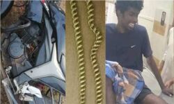 സ്വര്‍ണമാല മോഷ്ടിച്ച് ബൈക്കില്‍ വരവേ അപകടം; യുവാവ് മരിച്ചു