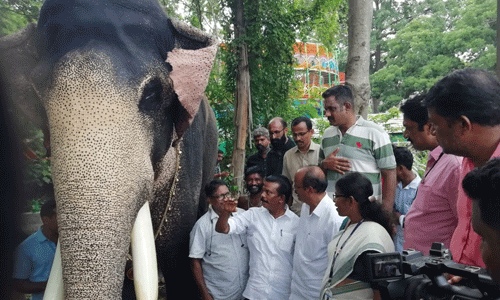 തൃശൂര് പൂരം: മൃഗസംരക്ഷണ വകുപ്പും ആന സ്ക്വാഡും സജ്ജം; സുരക്ഷാ ക്രമീകരണങ്ങള് വിലയിരുത്തി ദേവസ്വംമന്ത്രി തൃശൂര് പൂരം: മൃഗസംരക്ഷണ വകുപ്പും ആന സ്ക്വാഡും സജ്ജം; സുരക്ഷാ ക്രമീകരണങ്ങള് വിലയിരുത്തി ദേവസ്വംമന്ത്രി