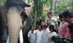 തൃശൂര്‍ പൂരം: മൃഗസംരക്ഷണ വകുപ്പും ആന സ്‌ക്വാഡും സജ്ജം; സുരക്ഷാ ക്രമീകരണങ്ങള്‍ വിലയിരുത്തി ദേവസ്വംമന്ത്രി