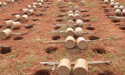 തൃശൂര്‍ പൂരം വെടിക്കെട്ട് ബുധനാഴ്ച   വൈകീട്ട് ഏഴിന്