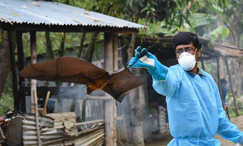 നിപ സംശയം: 15കാരന്റെ സമ്പര്‍ക്കപ്പട്ടികയിലുള്ള മൂന്നുപേര്‍ നിരീക്ഷണത്തില്‍