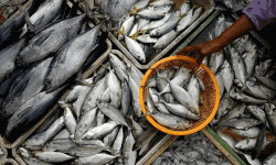 เดฎเตเดจเตโ เดเดดเดฟเดเตเด เดเตเดเตเดเดฟเดเดณเตโเดเตเดเต เดญเดเตเดทเตเดฏเดตเดฟเดทเดฌเดพเดง; เดฎเตเดตเดพเดฑเตเดฑเตเดชเตเดดเดฏเดฟเดฒเตโ เดชเดดเดเดฟเดฏ เดฎเตเดจเตโ เดจเดถเดฟเดชเตเดชเดฟเดเตเดเต เดฎเตเดจเตโ เดเดดเดฟเดเตเด เดเตเดเตเดเดฟเดเดณเตโเดเตเดเต เดญเดเตเดทเตเดฏเดตเดฟเดทเดฌเดพเดง; เดฎเตเดตเดพเดฑเตเดฑเตเดชเตเดดเดฏเดฟเดฒเตโ เดชเดดเดเดฟเดฏ เดฎเตเดจเตโ เดจเดถเดฟเดชเตเดชเดฟเดเตเดเต