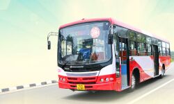 കെഎസ്ആര്ടിസി സിറ്റി സര്ക്കുലര് സര്വ്വീസുകള് കൊച്ചി, കോഴിക്കോട് നഗരങ്ങളിലേക്കും കെഎസ്ആര്ടിസി സിറ്റി സര്ക്കുലര് സര്വ്വീസുകള് കൊച്ചി, കോഴിക്കോട് നഗരങ്ങളിലേക്കും