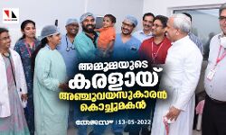 അമ്മൂമ്മയുടെ കരളായ് അഞ്ചുവയസുകാരന്‍ കൊച്ചുമകന്‍