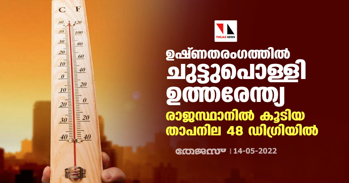 ഉഷ്ണതരംഗത്തില്‍ ചുട്ടുപൊള്ളി ഉത്തരേന്ത്യ; രാജസ്ഥാനില്‍ കൂടിയ താപനില 48 ഡിഗ്രിയില്‍