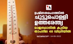 ഉഷ്ണതരംഗത്തില്‍ ചുട്ടുപൊള്ളി ഉത്തരേന്ത്യ; രാജസ്ഥാനില്‍ കൂടിയ താപനില 48 ഡിഗ്രിയില്‍