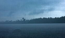 അതിതീവ്ര മഴയ്ക്ക് സാധ്യത, റെഡ് അലർട്ട്; ദുരന്തനിവാരണ സേന എത്തും